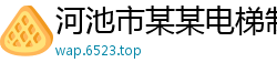 河池市某某电梯制造厂